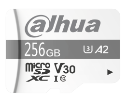 DAHUA - TF-P100/256GB